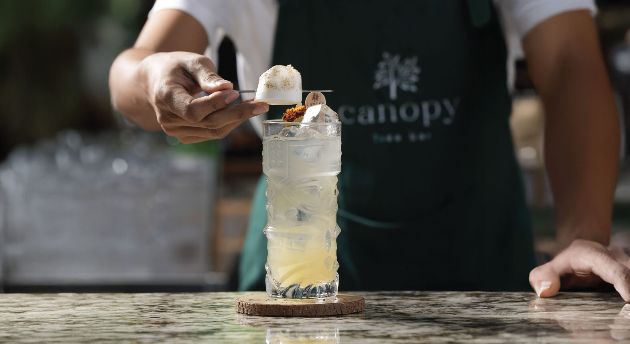 canopy-Mixology-class